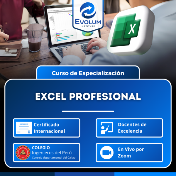 Excel Profesional